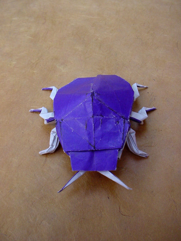 Scarab Beetle