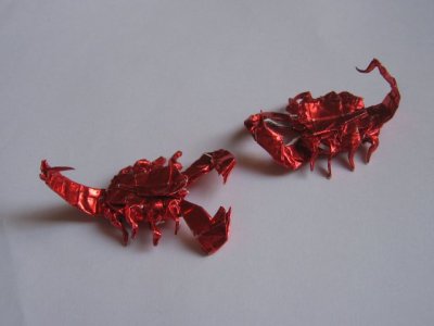 model image