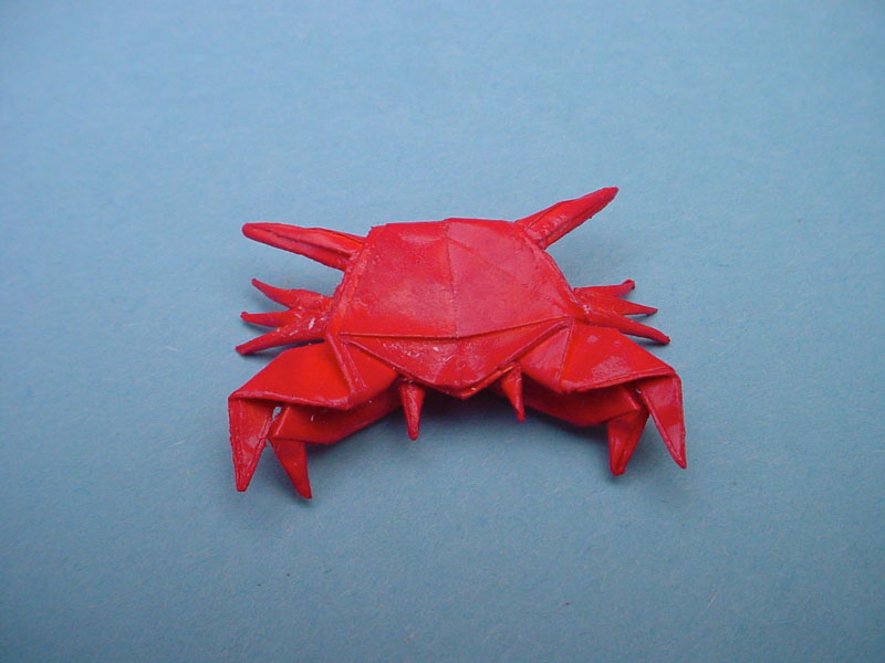 model image