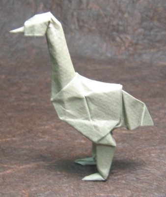 model image
