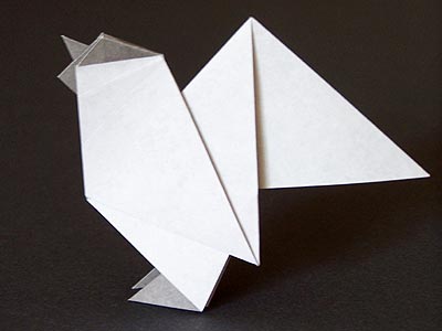 model image