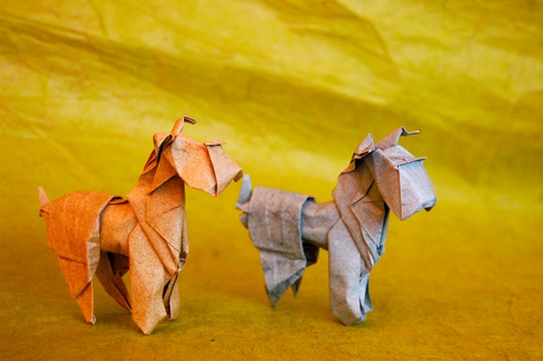 model image