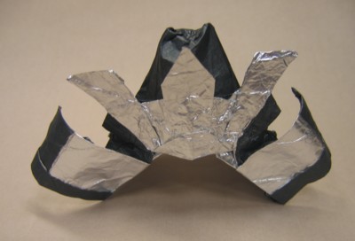 model image