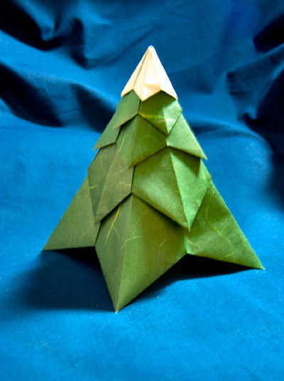 Evergreen Tree