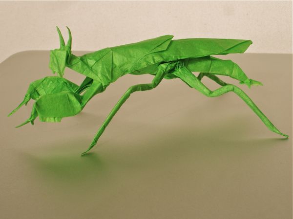 Mantis Boxer