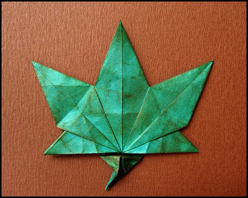 Maple Leaf