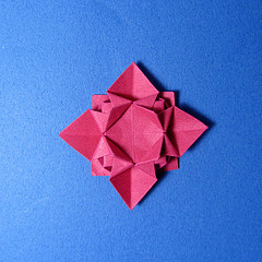 model image