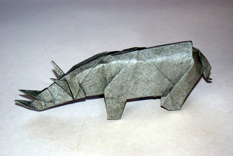 Rhinoceros