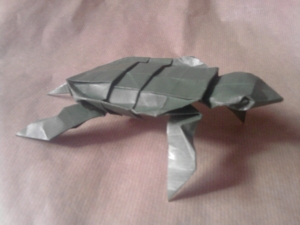 sea turtle