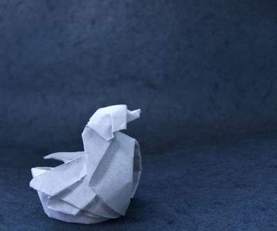 A simple duck