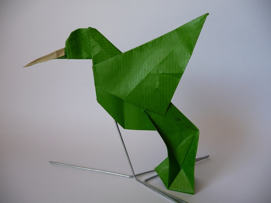 Humming bird