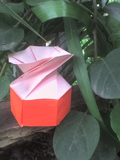 Hexagonal twist box