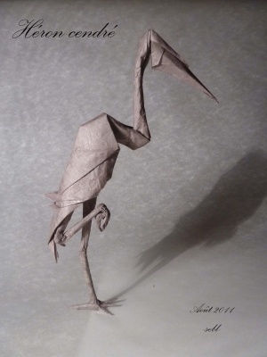 Grey heron