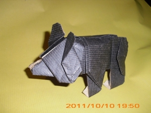 Black bear