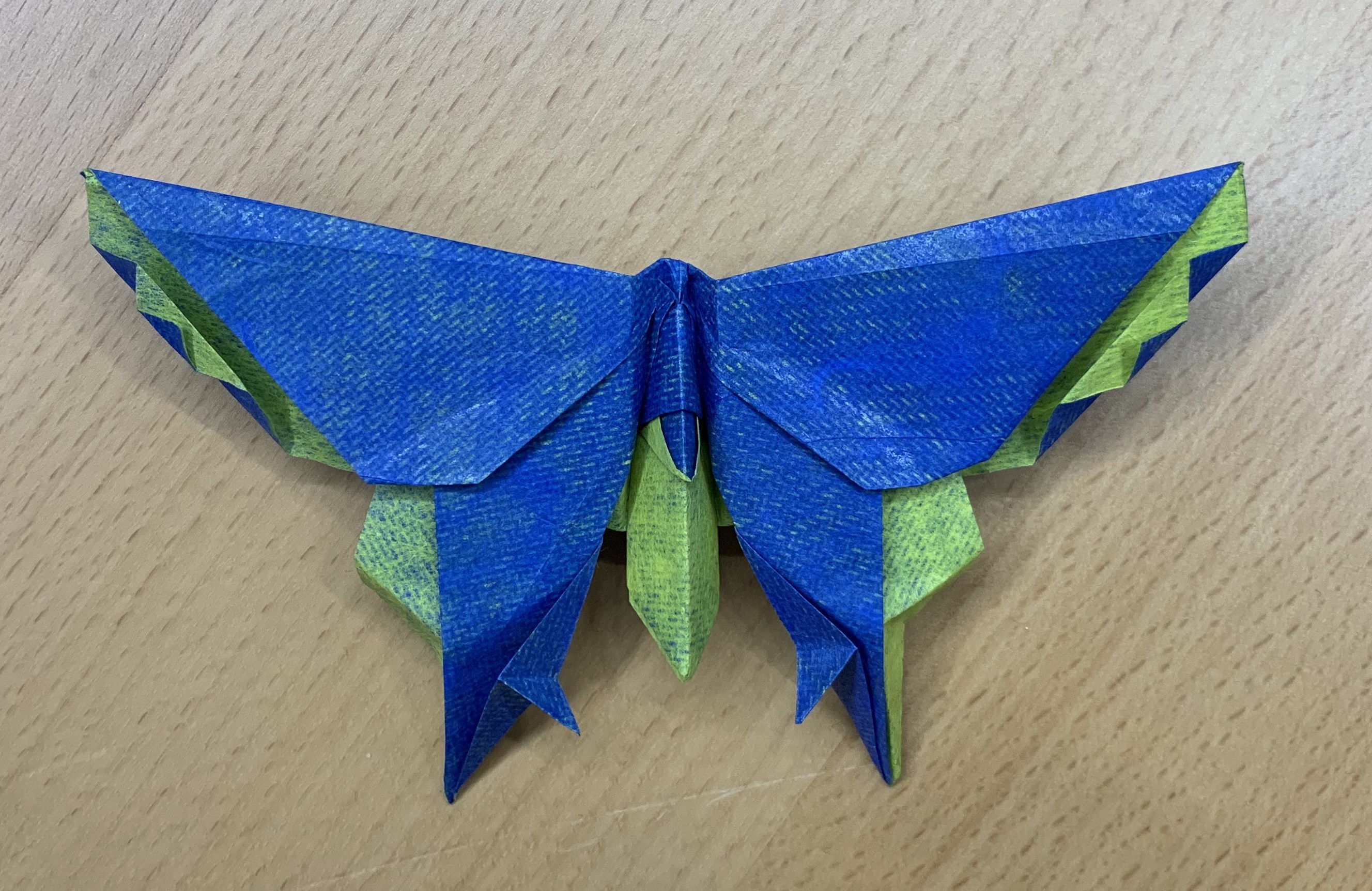 model image