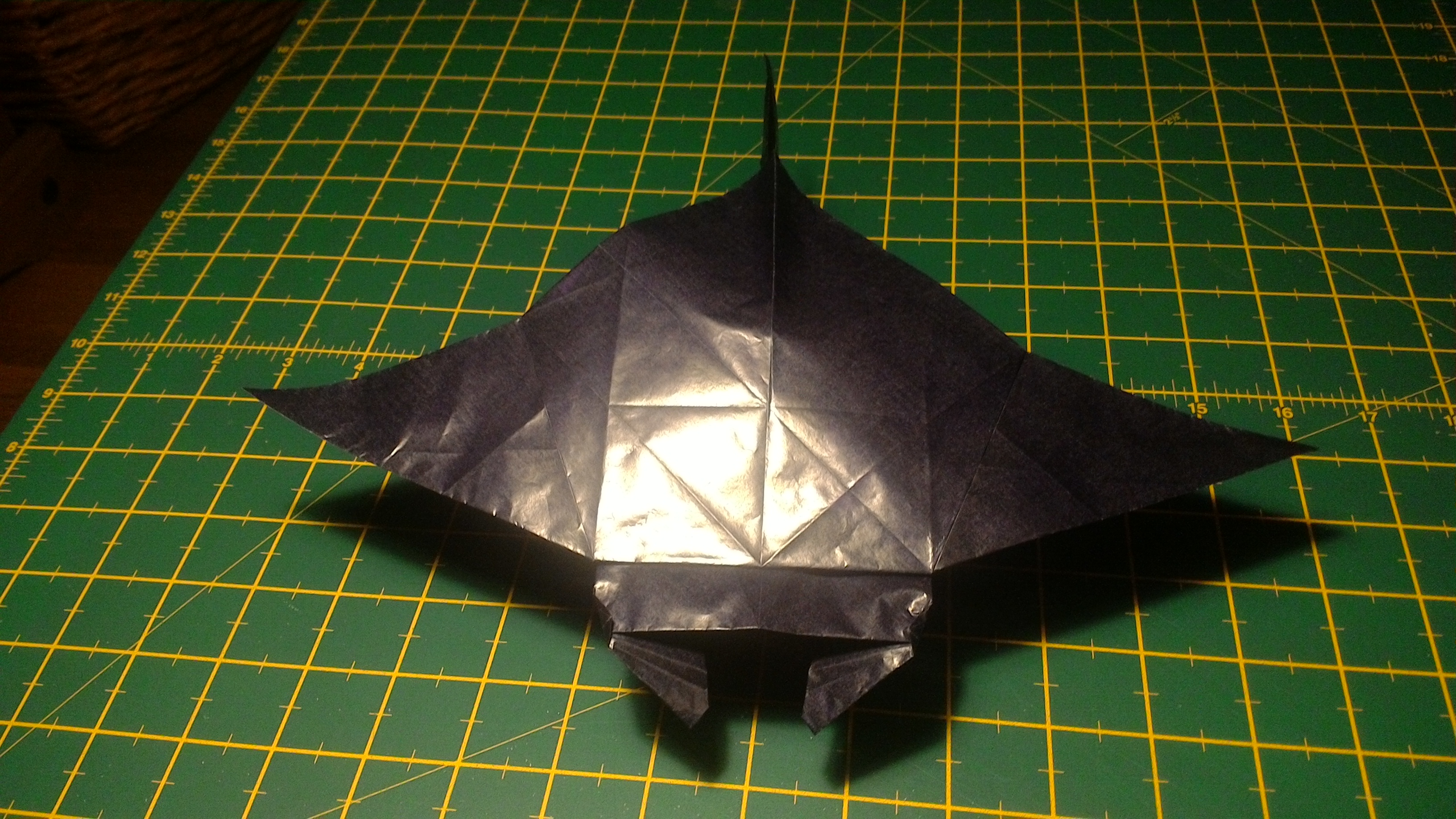 model image