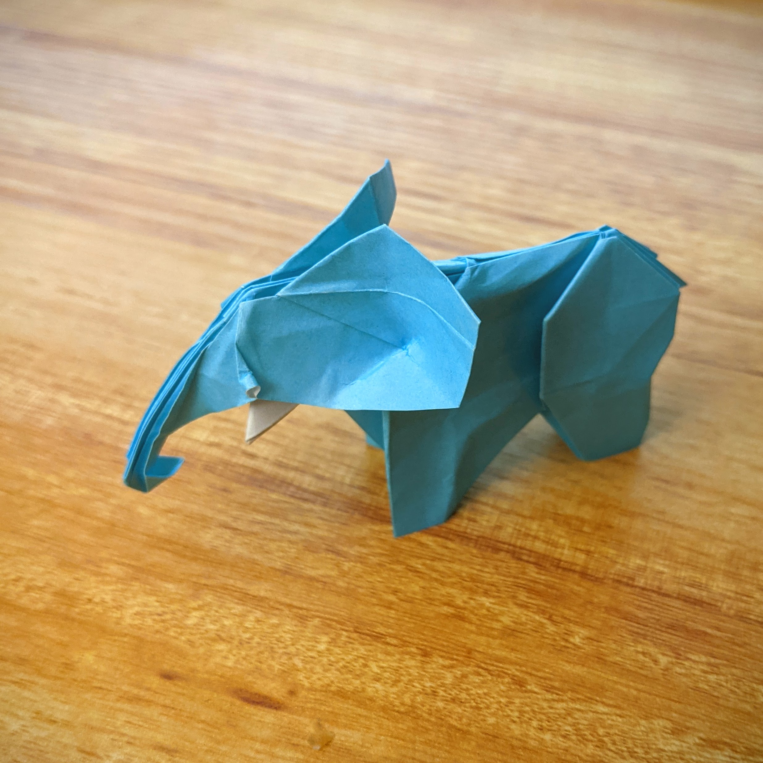 model image