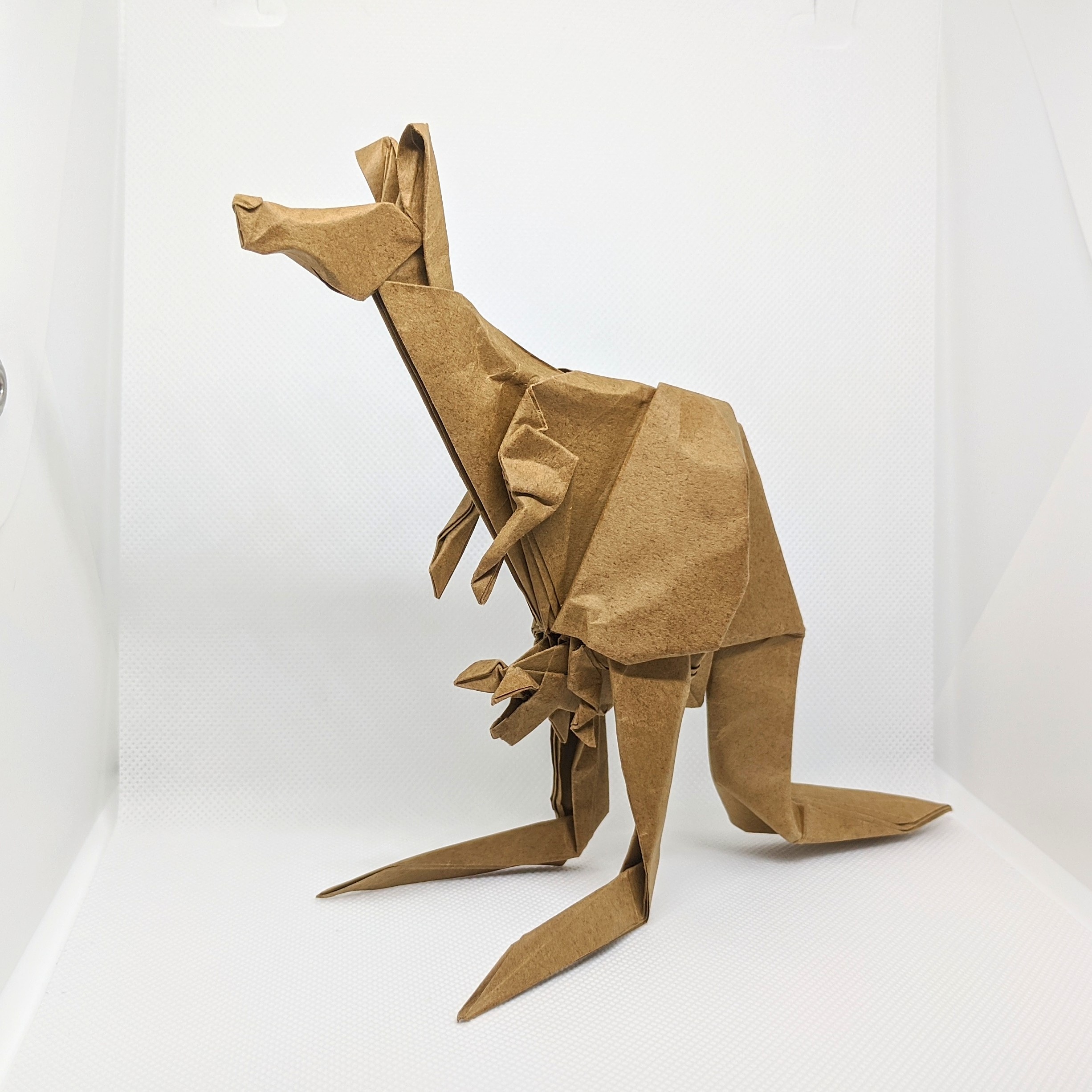 model image