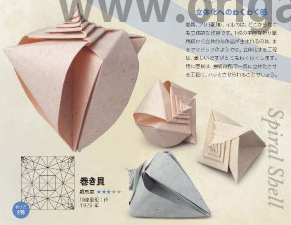 Spiral Shell