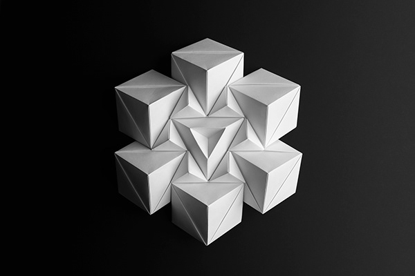 model image
