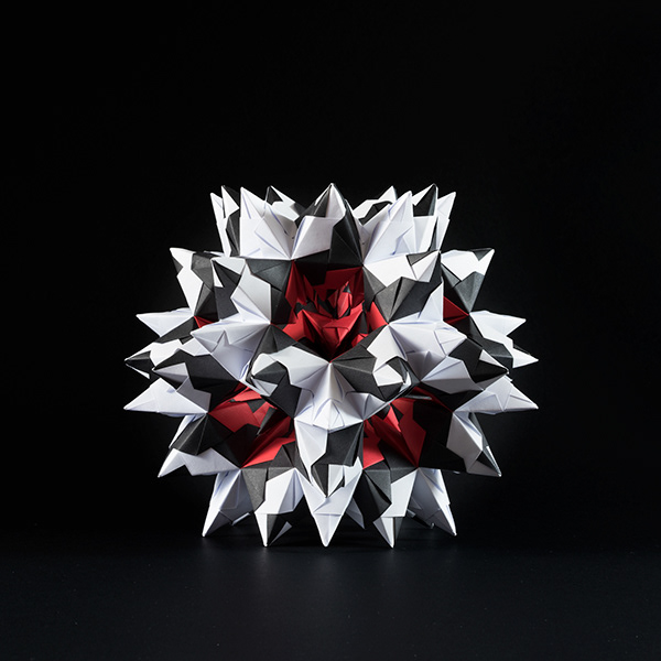 bascetta star
