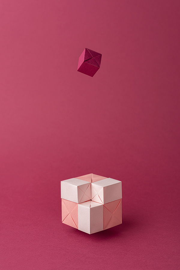 model image