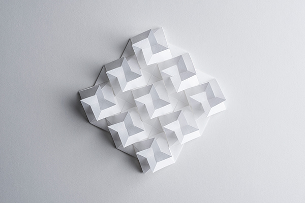 model image