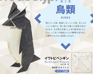 Rockhopper Penguin