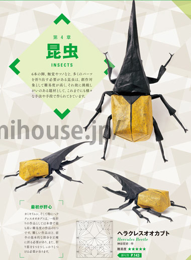 Hercules Beetle