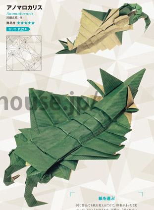 Anomalocaris