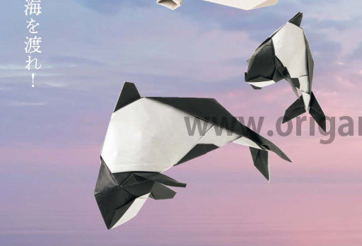 Commerson's Dolphin