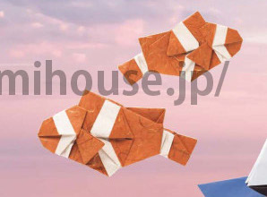 Clown Anemonefish
