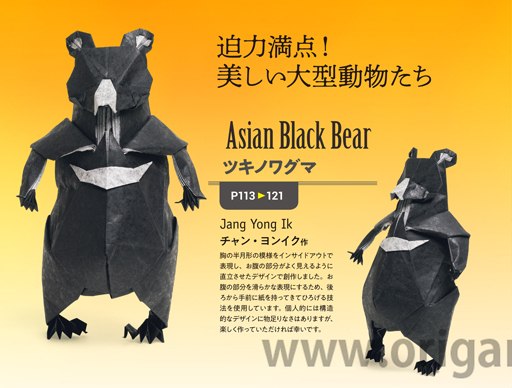 Asian Black Bear