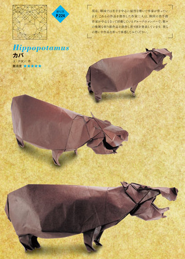 Hippopotamus