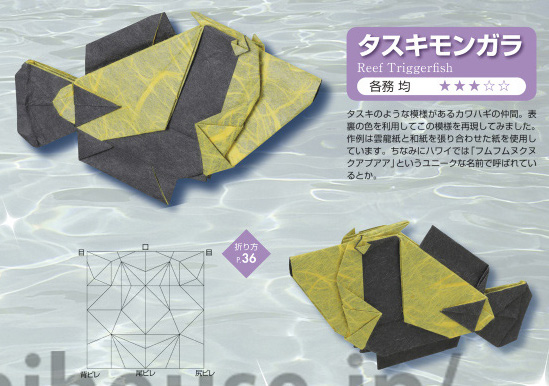 Reef Triggerfish