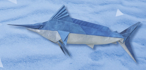 model image