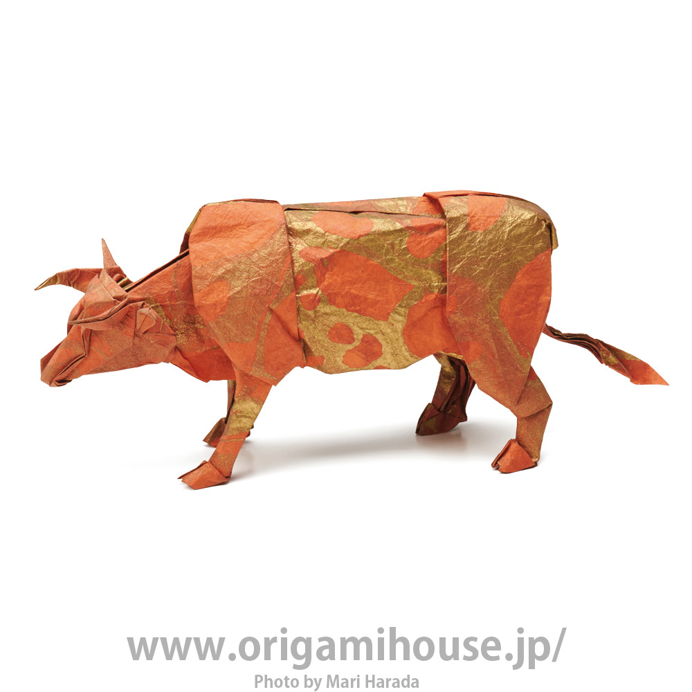 Cattle