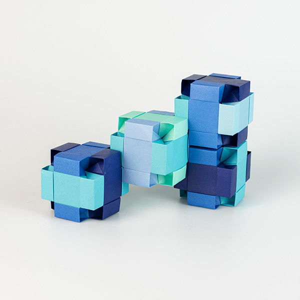Modulo Papillon