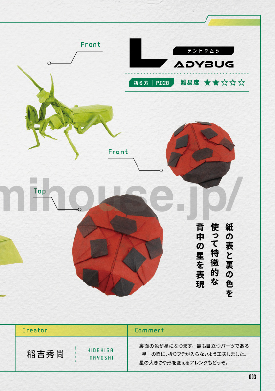 Ladybug