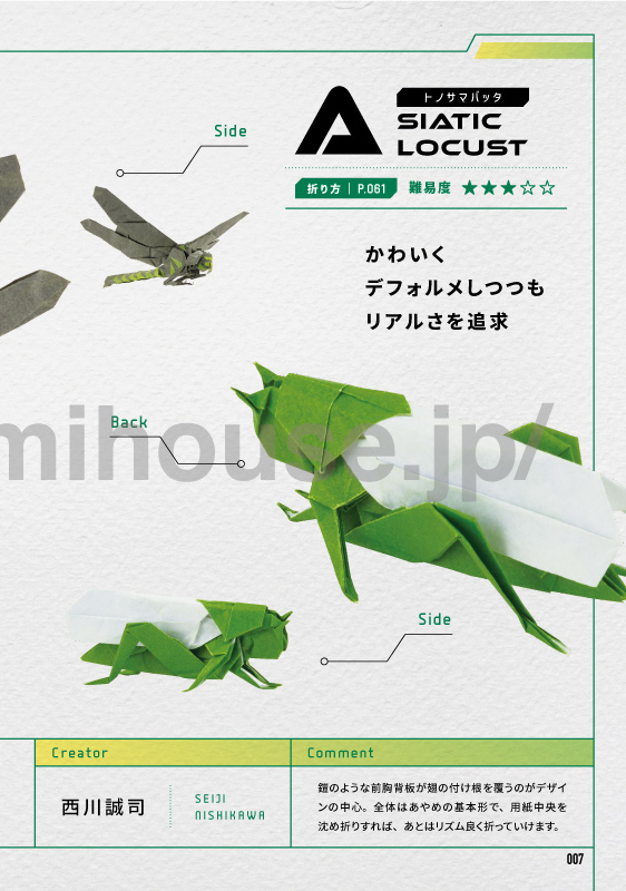 Asiatic Locust