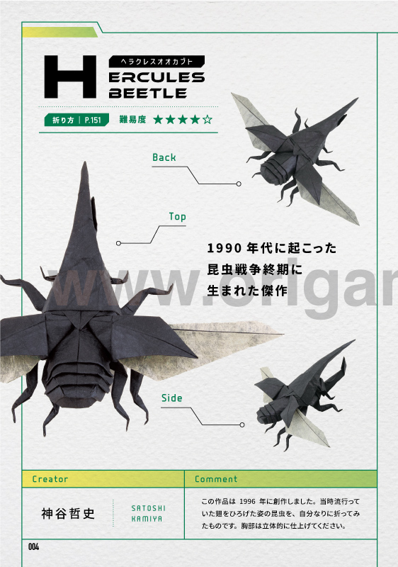 Hercules Beetle