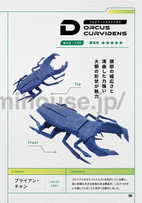 Dorcus curvidens