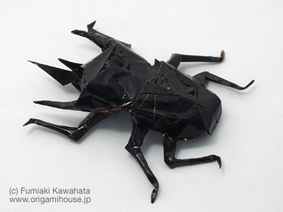 Caucasus Giant Beetle